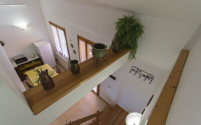 Accommodatie:&nbsp;Narciso