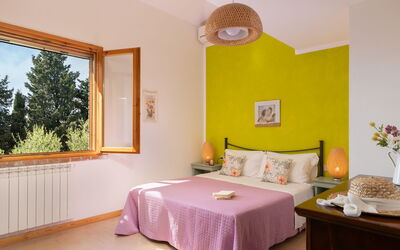 Accommodatie:&nbsp;Erica