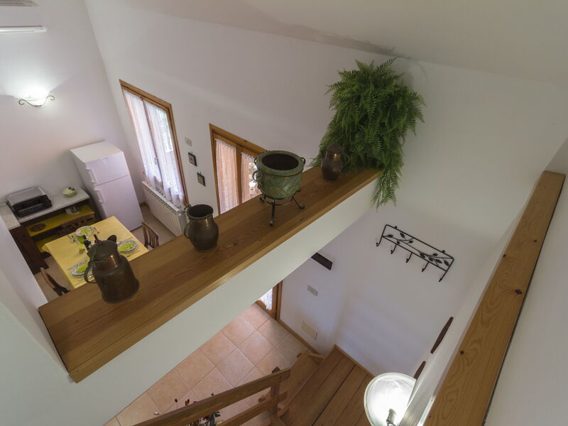 Accommodatie:&nbsp;Narciso