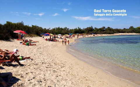 Villa Orchidea: Strand, Lucht, Vakantie, Toerisme, Oceaan, Zee, Zomer, Kust
