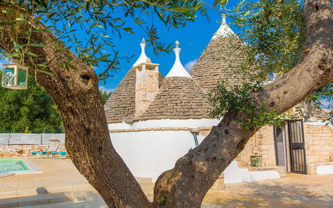 Trullo Del Mandarino: Boom, Architectuur, Muur, Woody Plant, Gebouw, Fabriek, Afdeling, Toerisme, Huis, Stad