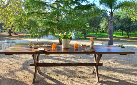 L'alcova: Meubilair, Tafel, Picknicktafel, Buitentafel, Koffietafel, Buitenmeubels, Boom, Gras, Vrije Tijd, Kamer