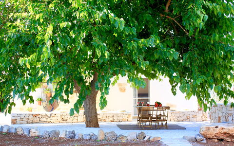 Trullo Con Piscina Per Bambini: Groen, Boom, Natuur, Natuurlijk Landschap, Blad, Fabriek, Woody Plant, Afdeling, Vlak, Aanpassing