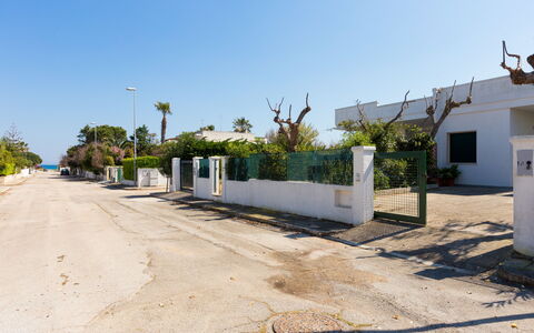 Villa Stelladali: Eigendom, Land Lot, Woongebied, Boom, Onroerend Goed, Huis, Buurt, Huis, Weg, Gebouw