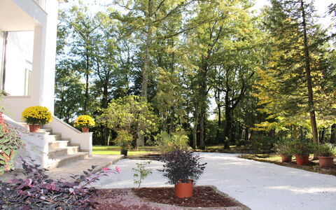 Villa La Casa Bianca: Eigendom, Huis, Boom, Huis, Onroerend Goed, Werf, Woongebied, Landscaping, Tuin, Landschap