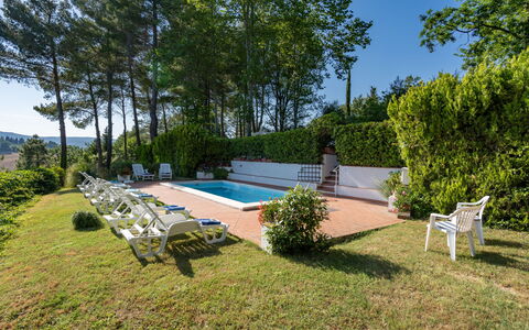 Villa Campiglia: Eigendom, Huis, Onroerend Goed, Huis, Landgoed, Verblijf, Gebouw, Zwembad, Backyard, Gras