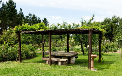 Casale Vacanze Il Granaio: Groen, Natuurgebied, Boom, Plantkunde, Gras, Tuin, Paviljoen, Tafel, Grassenfamilie, De Lente