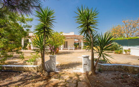 Villa Mediterranea: Eigendom, Huis, Huis, Onroerend Goed, Boom, Landgoed, Gebouw, Woongebied, Palmboom, Arecales