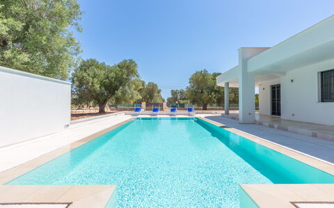 Villa Stella Cadente: Water, Lucht, Gebouw, Zwembad, Azure, Boom, Schaduw, Rechthoek, Gras, Vrije Tijd