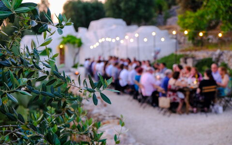 Corte dei Messapi | Sleeps 24: Fabriek, Blad, Plantkunde, Gras, Vrije Tijd, Woody Plant, Boom, Ochtend, Zomer, Bloem