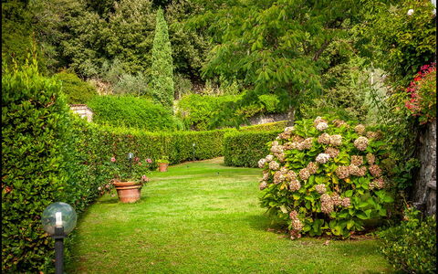 Orto Degli Olivi Proprietà: Tuin, Natuur, Gazon, Boom, Vegetation, Groen, Gras, Struik, Natuurlijk Landschap, Fabriek