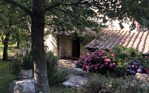 Beautiful Stone Country Villa: Boom, Muur, Fabriek, De Lente, Bloem, Huis, Plantkunde, Tuin, Struik, Landelijk Gebied