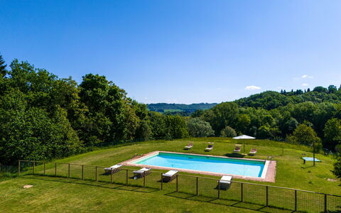 Podere a Lafi: Water, Lucht, Eigendom, Zwembad, Fabriek, Natuurlijk Landschap, Boom, Stoel, Schaduw, Land Lot
