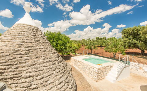 Trullo Del Pioppo Gigante: Wolk, Lucht, Thatching, Fabriek, Boom, Huis, Landschap, Zwembad, Gras, Natuurlijk Landschap