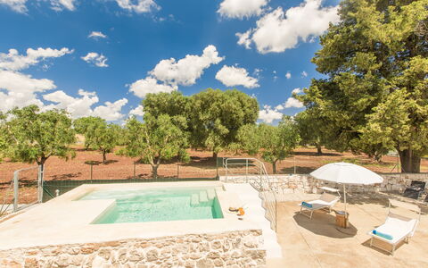 Trullo Del Pioppo Gigante: Wolk, Lucht, Dag, Eigendom, Fabriek, Boom, Zwembad, Schaduw, Water, Land Lot