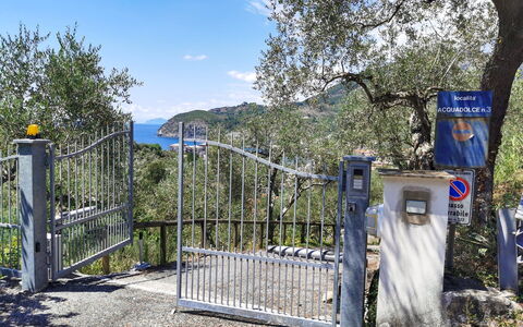 Il Frantoio Del Mesco - Levanto: Boom, Poort, Ijzer, Trunk, Metaal, Hek, Home Schermen, Nonbuilding Structuur, Chain-Link Schermen, Teken