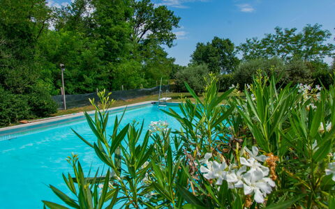 Elena: Blauw, Struik, Tuin, Zwembad, Schaduw, Landscaping, Botanische Tuin, Backyard, Eco Hotel