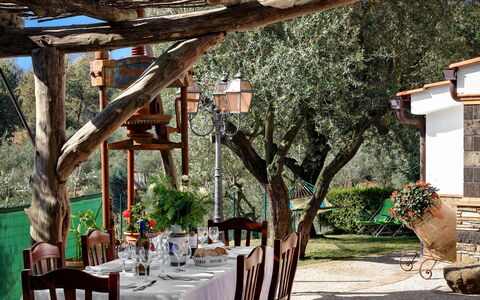 La Villa Dell'olio: Tafel, Tableware, Meubilair, Fabriek, Stoel, Tafelkleed, Gebouw, Decoratie, Boom, Interieur Ontwerp