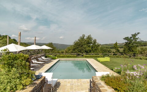 Villa Pianvecchio: Fabriek, Zwembad, Tuin, Samengesteld Materiaal, Struik, Toevlucht, Landscaping, Werf, Tegel