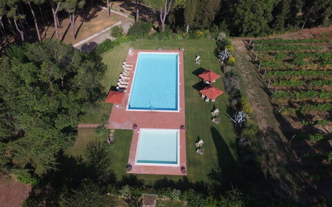 Villa Asciolo: Zwembad, Tuin, Samengesteld Materiaal, Schaduw, Gazon, Werf, Plantage, Backyard, Landscaping