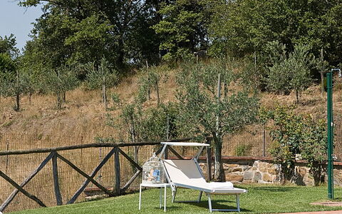 Villa Miravalle: Water, Fabriek, Lucht, Eigendom, Zwembad, Schaduw, Buitenmeubels, Boom, Natuurlijk Landschap, Gras