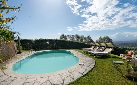 Villa Elisa: Zwembad, Buitenmeubels, Toevlucht, Eco Hotel, Gazon, Landscaping, Schaduw, Werf, Backyard, Villa