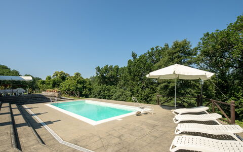 Grezzano Villa: Lucht, Boom, Zwembad, Schaduw, Buitenmeubels, Land Lot, Arecales, Gras, Vrije Tijd, Landschap