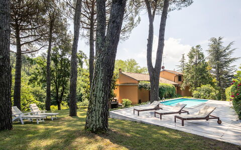 Villa Del Mugello: Fabriek, Gebouw, Eigendom, Lucht, Schaduw, Boom, Huis, Land Lot, Wolk, Zwembad