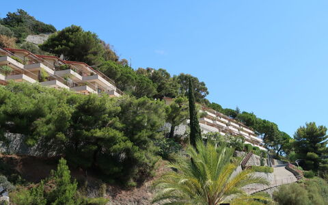 Ventimiglia 633: Lucht, Gebouw, Fabriek, Plantengemeenschap, Boom, Vegetation, Arecales, Huis, Natuurlijk Landschap, Buurt