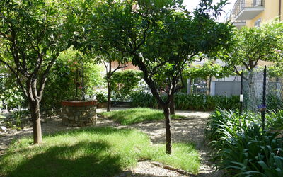 Accommodatie:&nbsp;Angelo 648.1