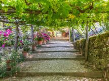 Ville Rosadi Weddings