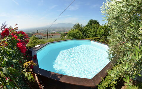 Alla Collina Del Sole: Water, Lucht, Bloem, Zwembad, Wolk, Natuur, Fabriek, Rechthoek, Schaduw, Buitenmeubels