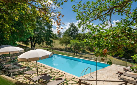 Villa Lucarella: Zwembad, Buitenmeubels, Toevlucht, Vrije Tijd, Tuin, Schaduw, Eco Hotel, Ligstoel, Backyard, Landgoed