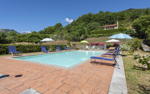 Villa Rosata: Water, Fabriek, Lucht, Meubilair, Stoel, Gebouw, Zwembad, Paraplu, Boom, Buitenmeubels
