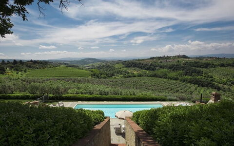 Chianti Fornace 1: Wolk, Lucht, Water, Fabriek, Watervoorraden, Natuurlijk Landschap, Vegetation, Boom, Zwembad, Gras