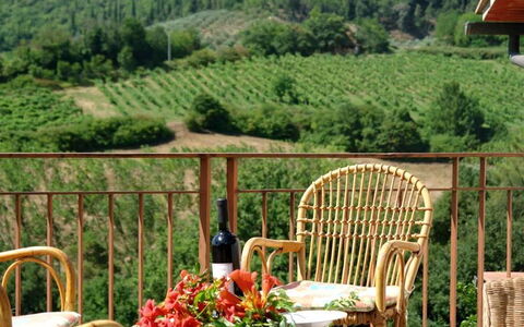 Tenuta Le Sodole: Fabriek, Meubilair, Lucht, Eigendom, Wolk, Stoel, Bloem, Groen, Blad, Natuur