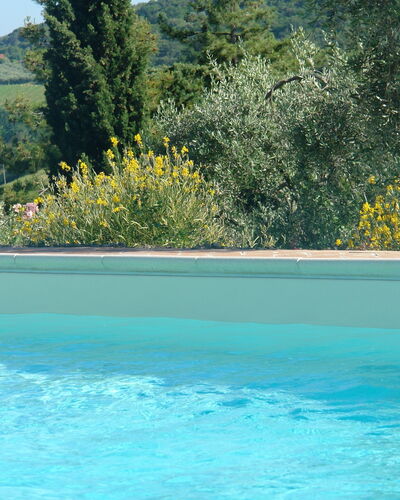 Tenuta Le Sodole: Water, Lucht, Fabriek, Eigendom, Zwembad, Plantengemeenschap, Boom, Natuur, Azure, Natuurlijk Landschap