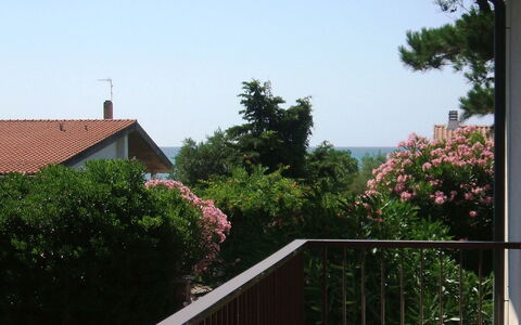 Casa Argentario: Fabriek, Gebouw, Lucht, Eigendom, Bloem, Hout, Boom, Huis, Woongebied, Onroerend Goed