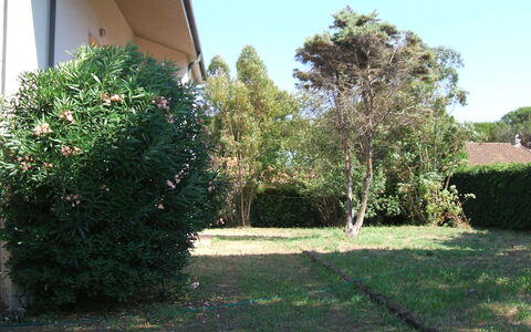 Casa Argentario: Fabriek, Eigendom, Lucht, Boom, Land Lot, Weg Oppervlak, Schaduw, Gras, Groundcover, Natuurlijk Landschap