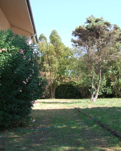 Casa Argentario: Fabriek, Eigendom, Lucht, Boom, Land Lot, Weg Oppervlak, Schaduw, Gras, Groundcover, Natuurlijk Landschap