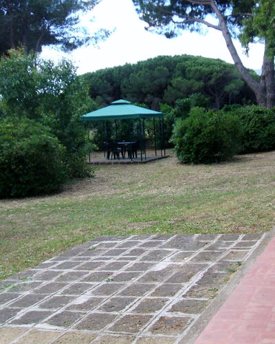 Giannella Holiday Apartment: Fabriek, Eigendom, Blad, Boom, Plantkunde, Schaduw, Weg Oppervlak, Vegetation, Land Lot, Gras