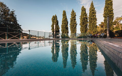 Villa Millefiori: Water, Lucht, Watervoorraden, Dag, Natuur, Wolk, Natuurlijk Landschap, Boom, Waterloop, Bank