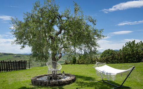 La Casa Di Campagna: Gras, Afdeling, Grasland, Plain, Tuin, Trunk, Gazon, Takje, Woody Plant, Weide