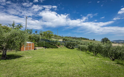 La Casa Di Campagna: Gras, Landschap, Grasland, Plain, Land Lot, Landelijk Gebied, Pasture, Weide, Veld, Gazon