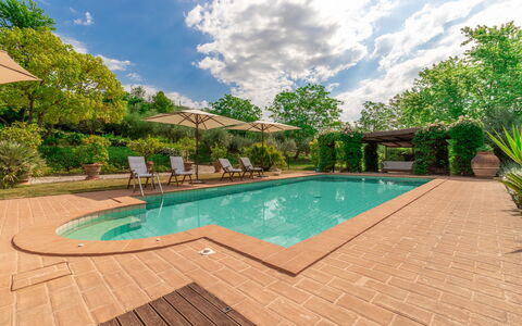 Villa La Picena: Wolk, Water, Fabriek, Zwembad, Lucht, Boom, Stoel, Schaduw, Arecales, Gras