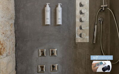 Accommodatie:&nbsp;La Terra Junior Suite Con Terrazza 5