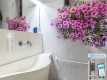 Accommodatie:&nbsp;Vico Quaranta Deluxe 2