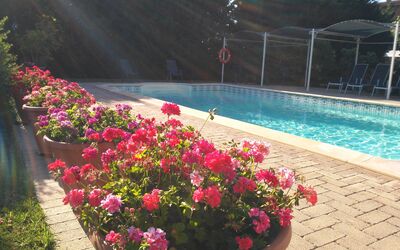 Il Casale Di Quirina: Bloem, Water, Fabriek, Petal, Bloempot, Plantkunde, Boom, Landschap, Zwembad, Groundcover