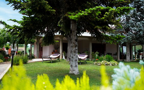 Residenza Thaulero: Fabriek, Eigendom, Gebouw, Plantkunde, Groen, Natuur, Blad, Boom, Vegetation, Architectuur