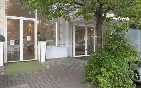 Florence Suite Apartment: Fabriek, Wiel, Weg Oppervlak, Boom, Deur, Gras, Gebouw, Woongebied, Stedelijk Ontwerp